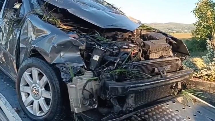 Aksident i rëndë në Lushnjë, humb jetën 28-vjeçari nga Tirana