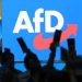 Inteligjenca gjermane shpall AfD organizatë ekstremiste: Kërcënon demokracinë