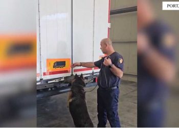 Durrës/ Do kontrabandonte 116 celularë dhe 18 shishe verë, arrestohet 38-vjeçari