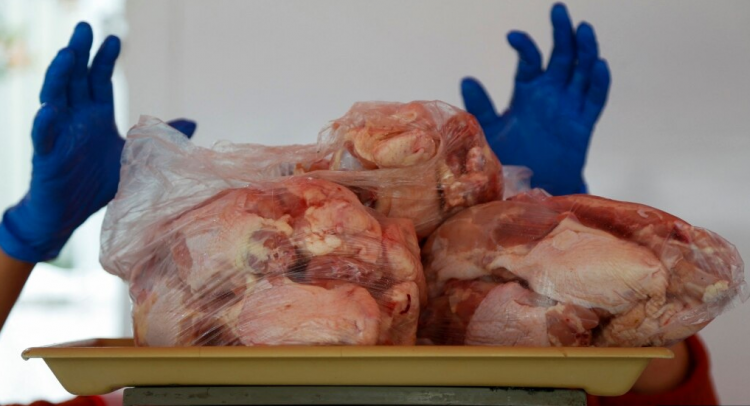 Kosova ndalon mishin e pulës nga Brazili, pas rasteve me gripin e shpendëve