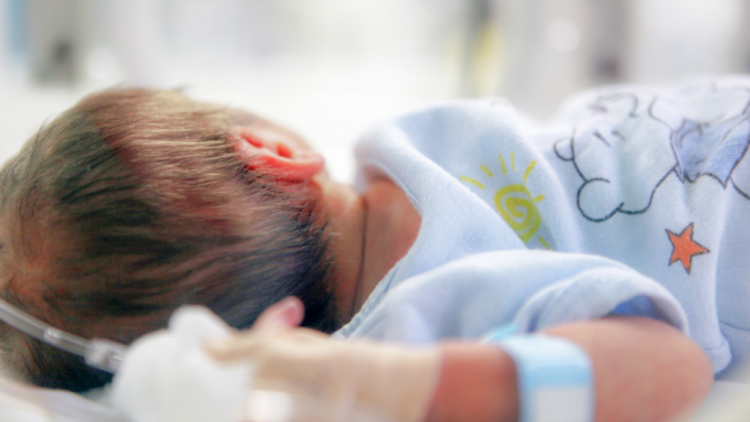 Përshpejtohet rënia e lindjeve, në 4 vite 26% më pak foshnja