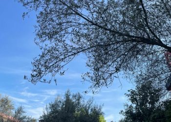 Parashikimi i motit, si do të ndryshojnë temperaturat gjatë ditës