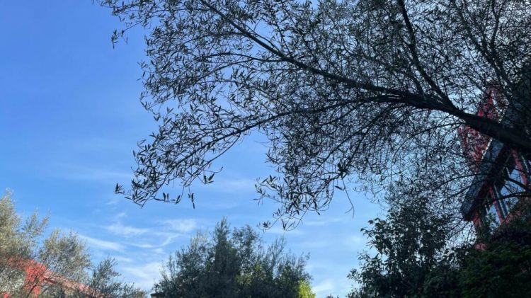 Parashikimi i motit, si do të ndryshojnë temperaturat gjatë ditës