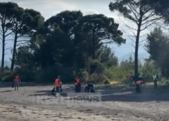 Shëngjin, aksion pastrimi para çeljes së sezonit