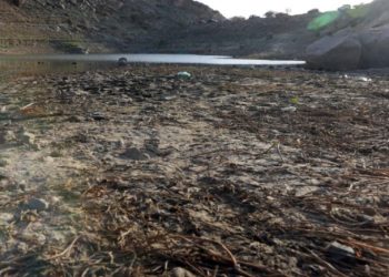 Thatësira ekstreme, zjarre dhe…OBM: Rekorde nxehtësie 5 vitet e ardhshme