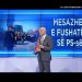 Slogani i PS ‘Vetëm me Edin’, Fevziu: Po fitoi Lapaj zgjedhjet, nuk futemi në BE?