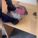 VIDEO/ Pako me drogë të fshehura brenda një jastëku, pranga 35-vjeçarit në Morinë