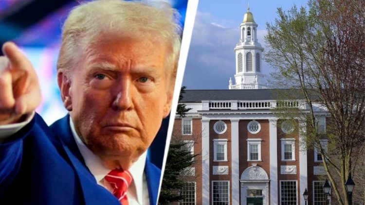 Gjykata i jep të drejtë Harvard, pezullon vendimin e administratës Trump