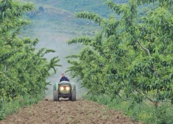 Fermerët e Beratit i kthehen bujqësisë organike/ Prodhimi i frutave, për eksport