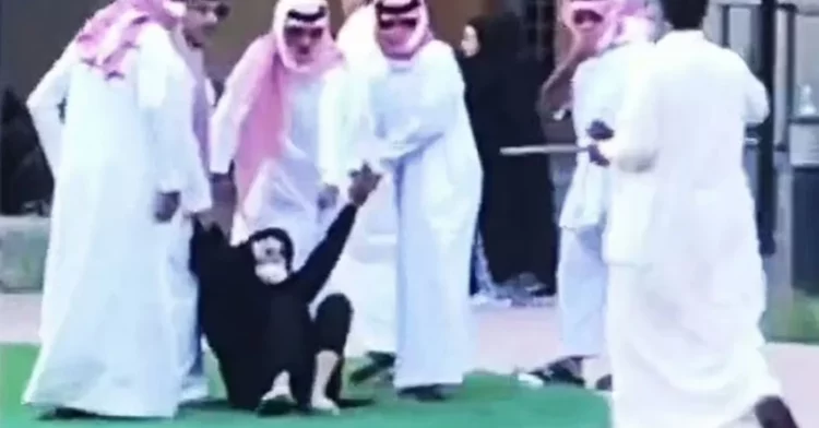 Skandal në Arabinë Saudite, dhunë dhe abuzime në strehimoret e “grave të pabindura”