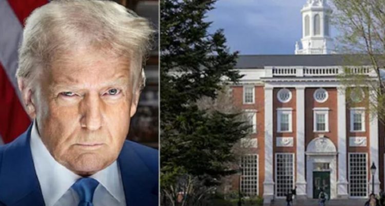 Në rrezik grantet për Harvardin/ Trump: Do t’i kalojnë shkollave profesionale