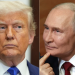 Trump për Putin: Ai është çmendur tërësisht, nuk e di çfarë dreqin i ka ndodhur