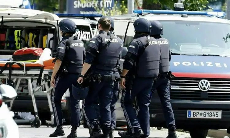 30 armë për 100 banorë/ Austria, një nga vendet më të armatosura në Evropë