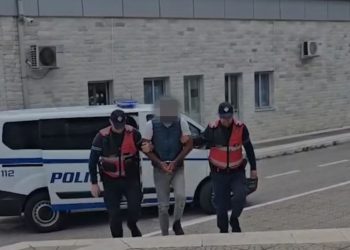 Në kërkim për llogari të Kosovës, arrestohet në Tepelenë 37-vjeçari