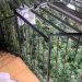 Spanjë/ Kapen me plantacion marijuhane, arrestohen dy të rinjtë shqiptarë