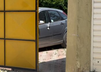 Nxori pistoletën për të vrarë qenin/ Detaje nga plagosja e dyfishtë në Rrogozhinë