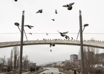 Ndërtimi i dy urave në Mitrovicë/BE: Në vendim të marrin pjesë të gjitha komunitetet