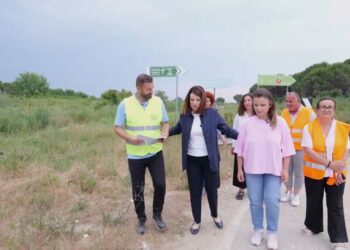 Vijon dezinsektimi në zonën turistike të Lalëzit