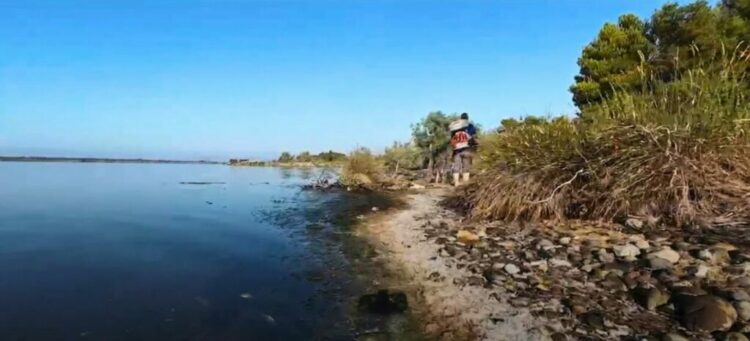 Nis procesi i dezinsektimit në Lezhë, përfshihen dhe zonat turistike të Shëngjinit