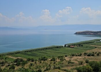 Lini, vendbanimi 8-mijëvjeçar/ Gërmimet shqiptaro-zvicerane e konfirmojnë