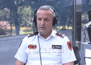 Nga zjarrvënia e qëllimshme tek makinat…shkaktarët kryesorë të zjarreve në Shqipëri