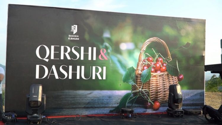 “Qershi dhe Dashuri” në Godolesh/ Vizitorë të shumtë në festën që promovon…