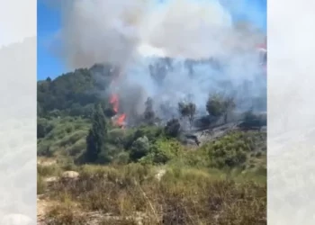 Zjarr në fshatin Hoshtimë të Vlorës, flakët arrijnë pranë varrezave