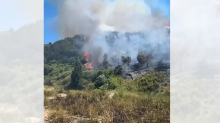 Zjarr në fshatin Hoshtimë të Vlorës, flakët arrijnë pranë varrezave