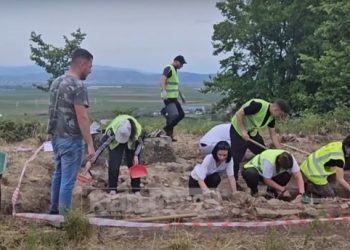 Zbulim arkeologjik në Divjakë/ Objektet po verifikohen se kujt periudhe i përkasin