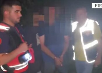 Asgjësohen 284 bimë narkotike/ Arrestohen pranë parcelave ku i kultivonin 2 shtetas