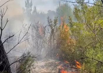 Zjarri në Darëzezë, ngrihet në fluturim helikopteri për ndihmë nga ajri