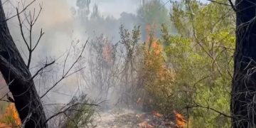 Zjarri në Darëzezë, ngrihet në fluturim helikopteri për ndihmë nga ajri