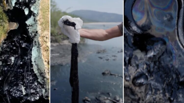 Derdhet naftë në Vjosë/Ndotet lumi i fundit i egër i Evropës, ngordhin gjallesat