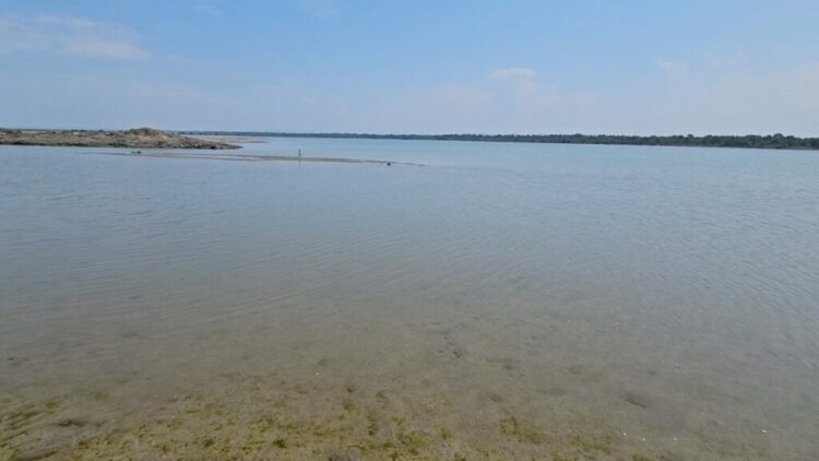 Kripa rrezikon gjallesat në lagunën e Karavastasë