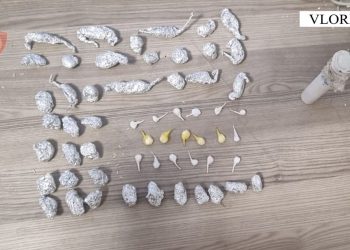 Kapet me kanabis e kokainë/ Sekuestrohen 57 doza drogë, arrestohet 17 vjeçari