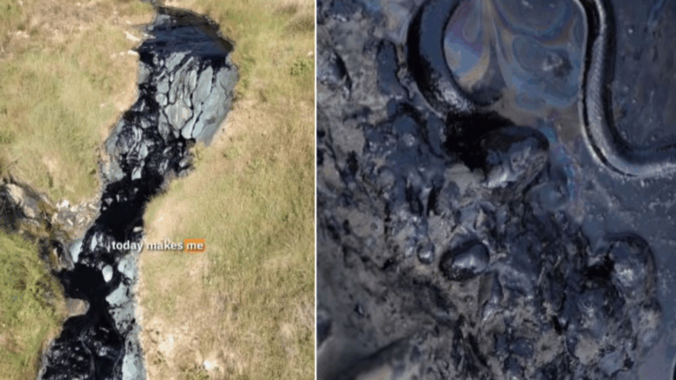 Nafta në lumin Vjosa/Albpetrol: Mbetje të prodhuara nga aktiviteti 60-vjeçar…