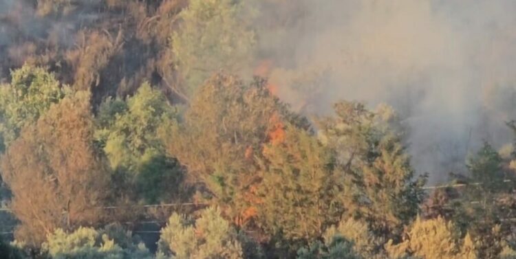 Zjarr në Patos, të favorizuara nga era e fort flakët u afrohen banesave