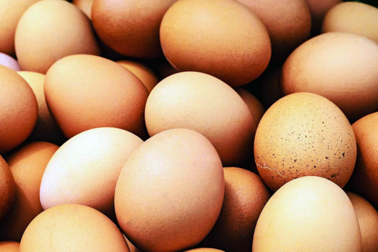 Infeksion nga salmonela, 1.7 milion vezë tërhiqen nga tregu në SHBA