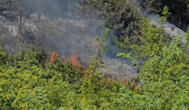 Fier/ Përfshihet nga flakët një zonë me ullishte, terreni vështirëson zjarrfikëset