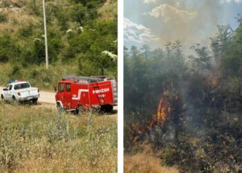 Flakët ‘përpijnë’ 3 hektarë shkurre! Zjarrfikësit shpëtojnë banesën nga zjarri.