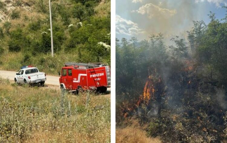 Flakët ‘përpijnë’ 3 hektarë shkurre! Zjarrfikësit shpëtojnë banesën nga zjarri.