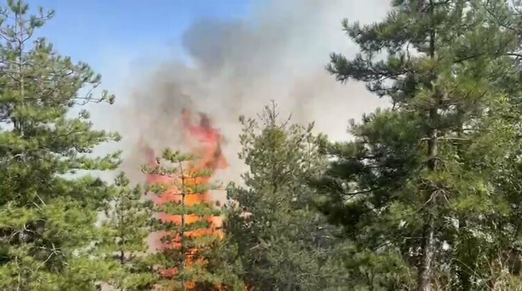 Tjetër vatër zjarri në Strelcë të Maliqit