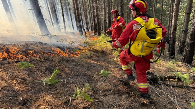 Situata e zjarreve në vend, Ministria e Mbrojtjes: Zonat me rrezik më të lartë
