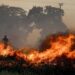 Greqi, zjarret masive në pyje detyrojnë evakuimin e banorëve
