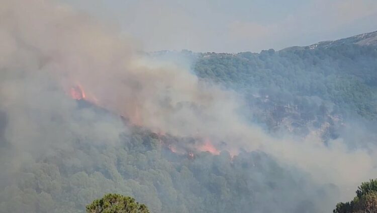 Riaktivizohet zjarri në fshatin Drenovë të Mallakastrës