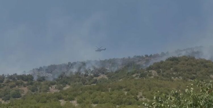 Neutralizohen flakët në zonën e Shpiragut dhe Kuçovës