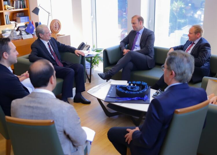 Berisha takim me deputetët e Bundestagut gjerman: U fola për farsën e 11 majit