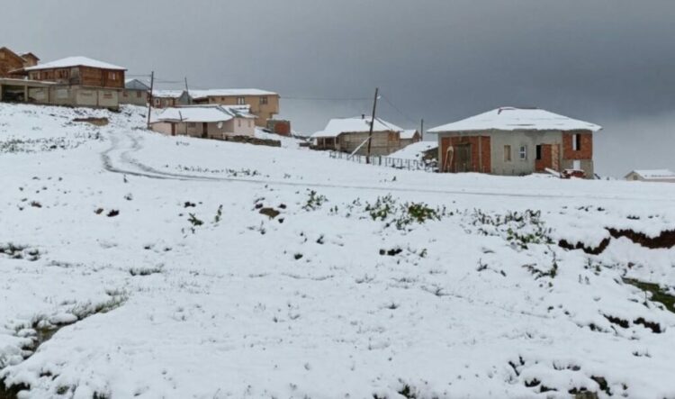 Vendi “digjet” nga i nxehti dhe zjarret, dëborë e pazakontë në verilindje të Turqisë