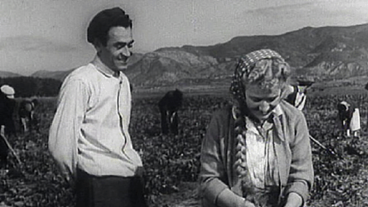 67 vite nga “Tana”, filmi që theu tabutë në kinemanë shqiptare