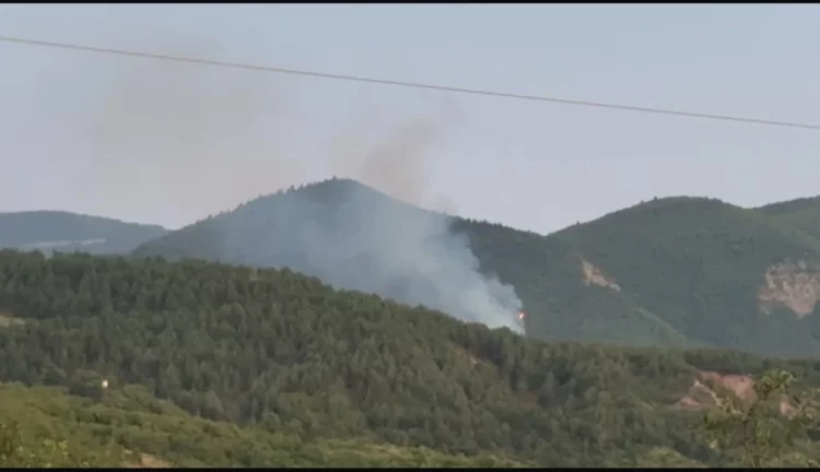 Zjarr në malin e Mavrovës, dyshohet i qëllimshëm